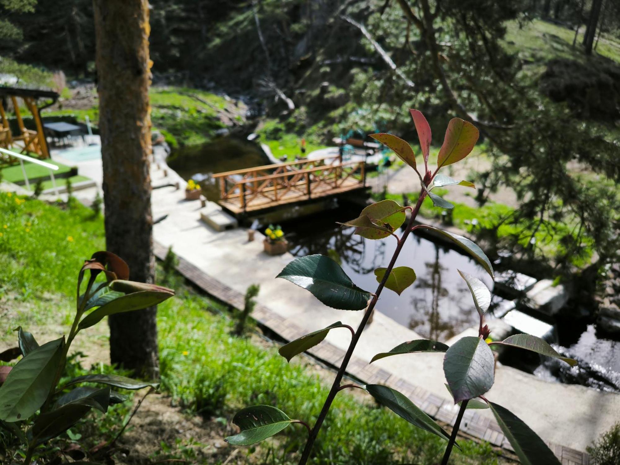 Vila Pogled Wellness I Spa Divčibare Екстериор снимка